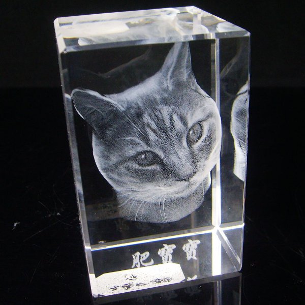 3D Engraved Crystal