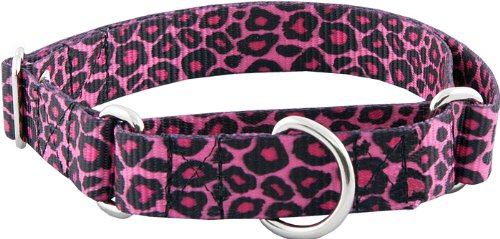 custom dog collar, pet supplies wholesale