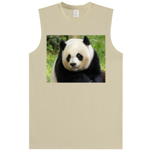 custom printed pure 100% combed cotton sleeveless t-shirt crew neck men's women's