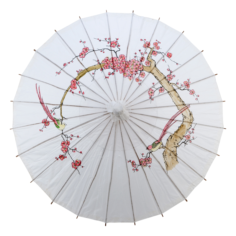 Fortitude Wish Paper Parasol