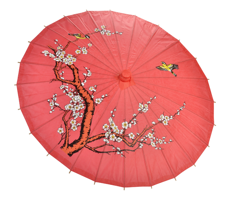 Perseverance Wish Paper Parasol