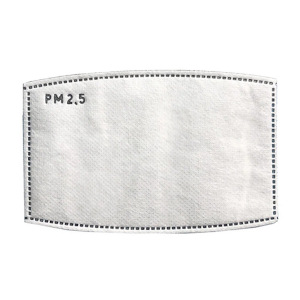 pm2.5 filter
