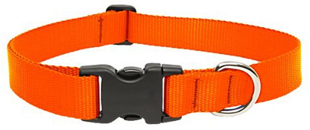 custom dog collar, pet supplies wholesale custom dog collar, pet supplies wholesale