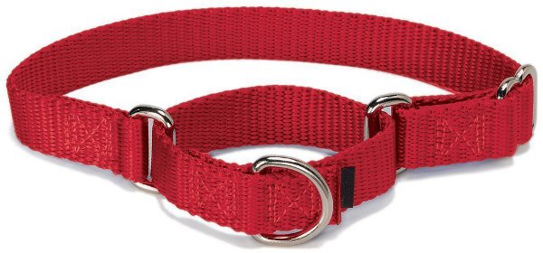 custom dog collar, pet supplies wholesale custom dog collar, pet supplies wholesale