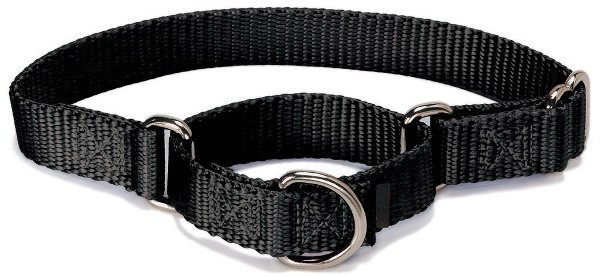 custom dog collar, pet supplies wholesale custom dog collar, pet supplies wholesale