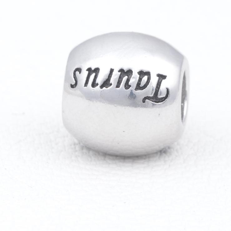 Taurus Sterling Silver Charms