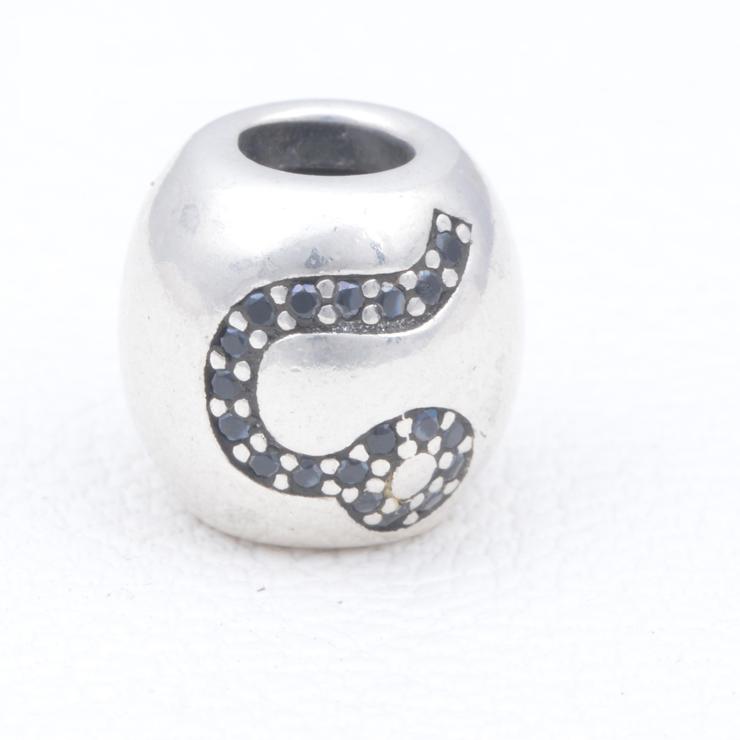 Leo Sterling Silver Charms