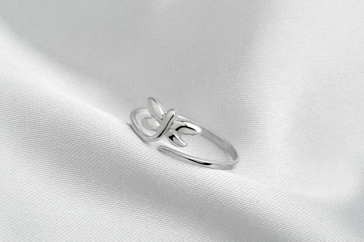 Silver Rings