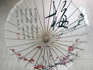 chinese oil paper umbrella parasol