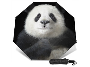 custom umbrella personalized no minimum
