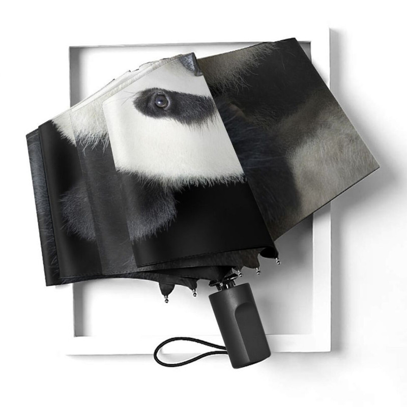Custom Printed Umbrella Vivid Graphics Showcase