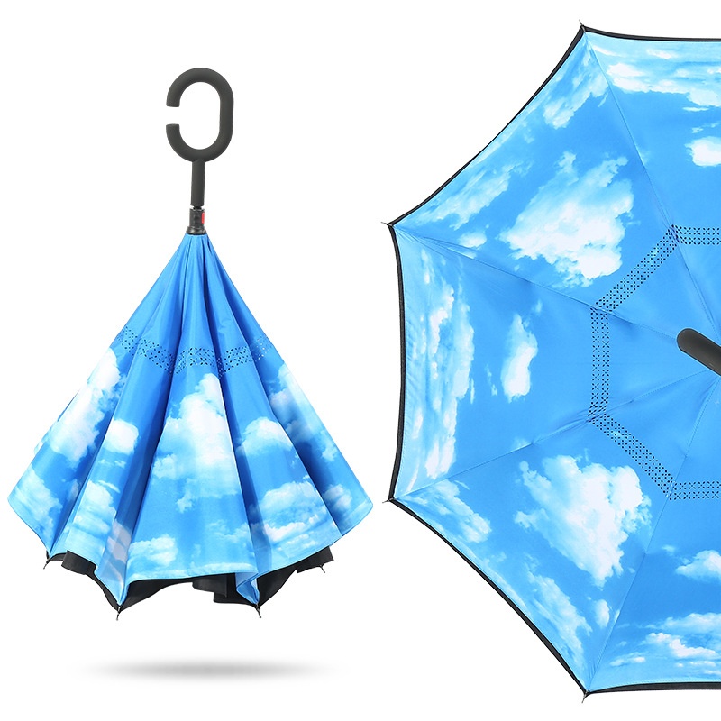 Inverted Umbrellas Inverted Umbrellas