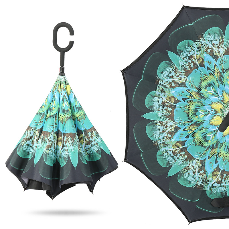 Inverted Umbrellas Inverted Umbrellas